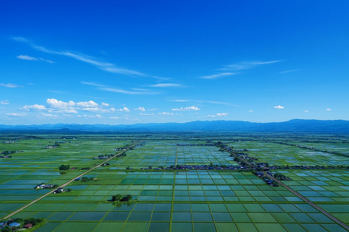 北海道東川町の風景