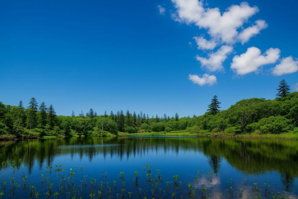北海道共和町の風景