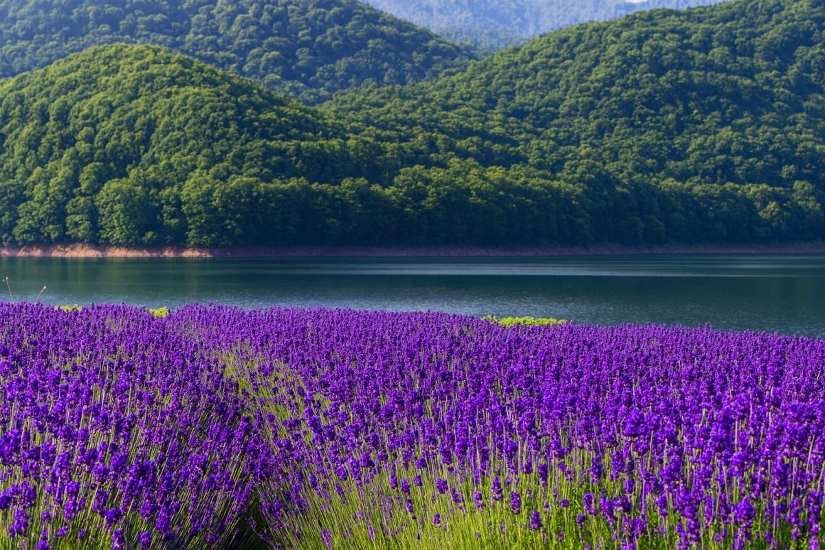 北海道南富良野町の風景