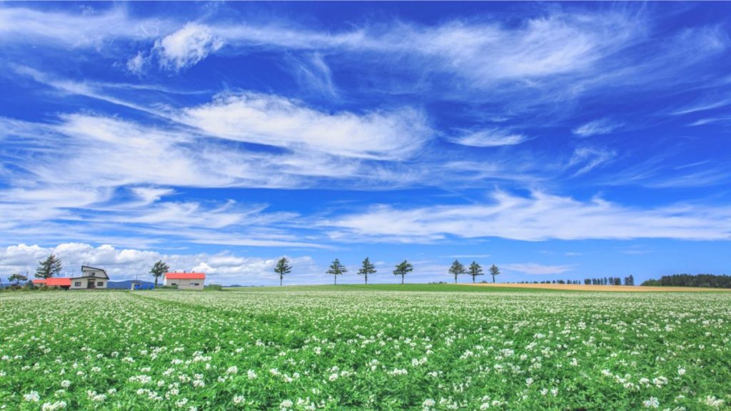 北海道大空町の風景