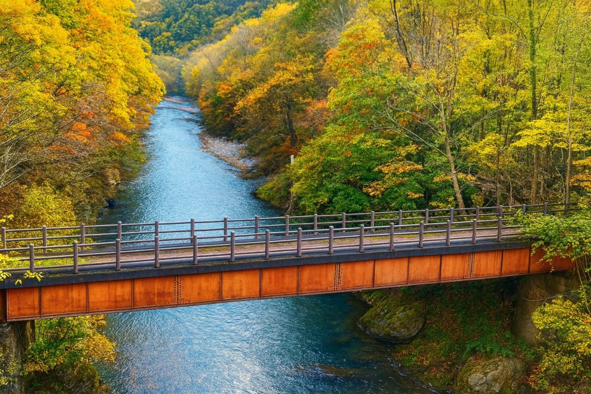 北海道大樹町の風景