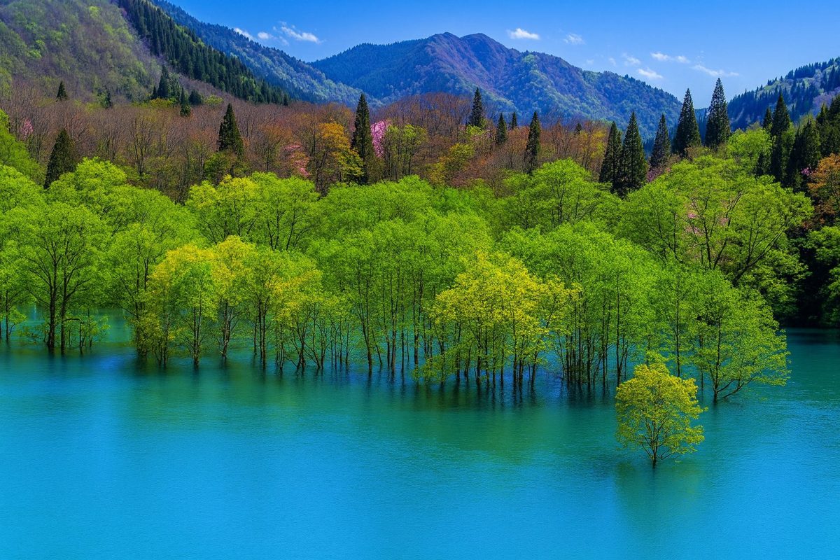 青森県西目屋村の風景